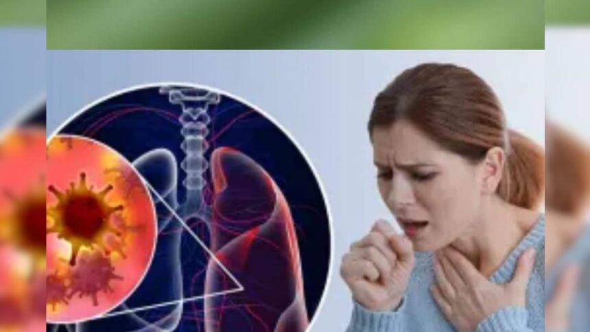 1687664135 lungs 16876641363x2 1687664135 lungs 16876641363x2 1687664135 lungs 16876641363x2