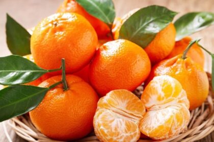 Untitled design 3 2023 11 4d0112c7688048ce72fbc89fdbc6cf80 3x2 Untitled design 3 2023 11 4d0112c7688048ce72fbc89fdbc6cf80 3x2 Untitled design 3 2023 11 4d0112c7688048ce72fbc89fdbc6cf80 3x2