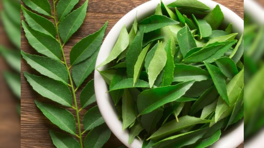 Untitled design 3 2023 12 1c58d0d95290024b628badb7a43b8754 3x2 Untitled design 3 2023 12 1c58d0d95290024b628badb7a43b8754 3x2 Untitled design 3 2023 12 1c58d0d95290024b628badb7a43b8754 3x2