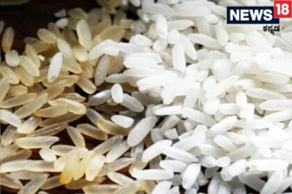 Untitled design 4 2023 10 931e6d374e429144fc78f2c37f3d80bd 3x2 Untitled design 4 2023 10 931e6d374e429144fc78f2c37f3d80bd 3x2 Untitled design 4 2023 10 931e6d374e429144fc78f2c37f3d80bd 3x2