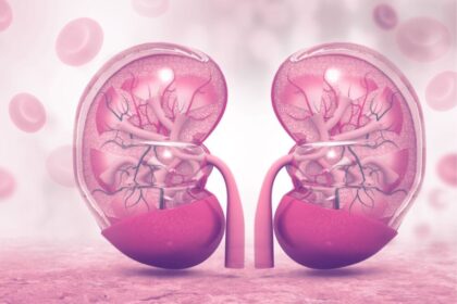 Untitled design 7 2023 12 9c865e83cea1eee999d256f8bcee101c 3x2 Untitled design 7 2023 12 9c865e83cea1eee999d256f8bcee101c 3x2 Untitled design 7 2023 12 9c865e83cea1eee999d256f8bcee101c 3x2