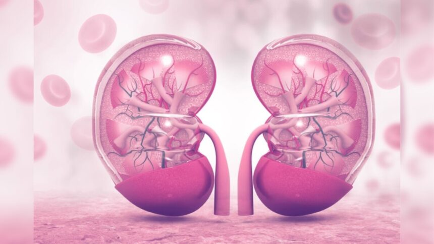 Untitled design 7 2023 12 9c865e83cea1eee999d256f8bcee101c 3x2 Untitled design 7 2023 12 9c865e83cea1eee999d256f8bcee101c 3x2 Untitled design 7 2023 12 9c865e83cea1eee999d256f8bcee101c 3x2