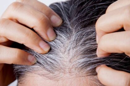 Untitled design 8 2023 12 323e49ae77cde154de8b64f8eb044053 3x2 Untitled design 8 2023 12 323e49ae77cde154de8b64f8eb044053 3x2 Untitled design 8 2023 12 323e49ae77cde154de8b64f8eb044053 3x2