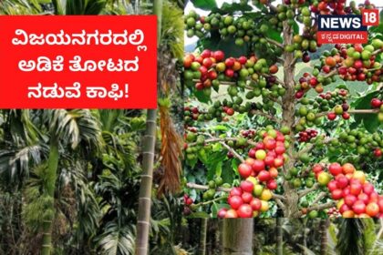 Vijayangara Success Story 2 16732581563x2 Vijayangara Success Story 2 16732581563x2 Vijayangara Success Story 2 16732581563x2