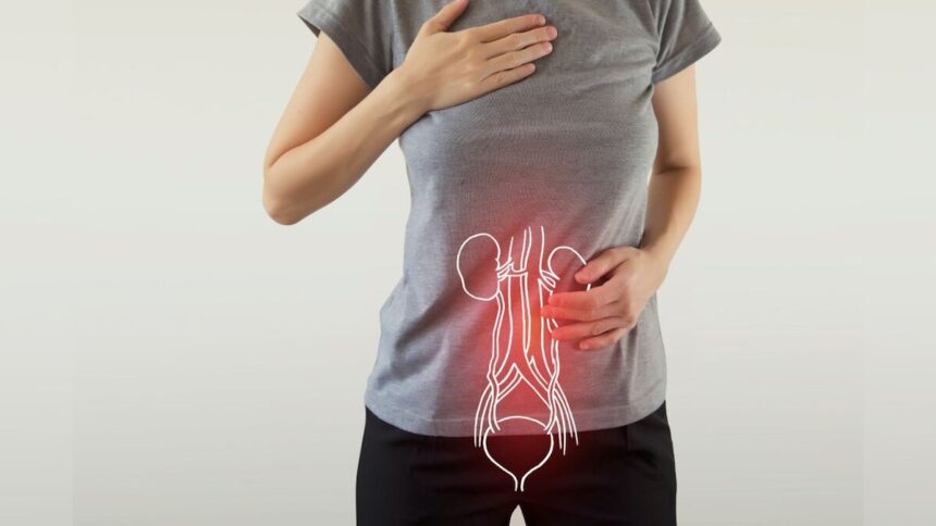 ಮೂತ್ರಕೋಶದ ಅಸ್ವಸ್ಥತೆ ಎಂದರೇನು? ಈ ಬಗ್ಗೆ ವೈದ್ಯರು ಹೇಳುವುದೇನು? 1 bladder control 1 16966024133x2 bladder control 1 16966024133x2 bladder control 1 16966024133x2