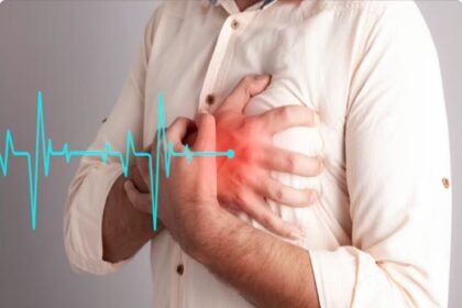 heart 2023 11 c1b6481a6b4b1d89e8659c1253b6c1e7 3x2 heart 2023 11 c1b6481a6b4b1d89e8659c1253b6c1e7 3x2 heart 2023 11 c1b6481a6b4b1d89e8659c1253b6c1e7 3x2