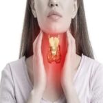 th 16948618433x2 th 16948618433x2 th 16948618433x2