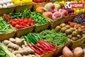 vegetables 1 copy vegetables 1 copy vegetables 1 copy