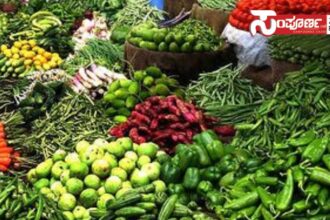 vegetables vegetables vegetables