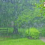 1 copy 1 copy 1 copy