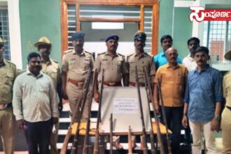 arrest copy arrest copy arrest copy