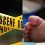 baby legs copy baby legs copy baby legs copy