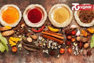 masala products masala products masala products