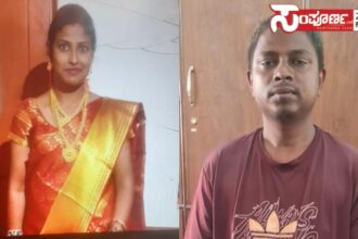 murder copy murder copy murder copy