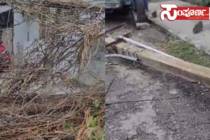 ngahrbhavi frain ngahrbhavi frain ngahrbhavi frain