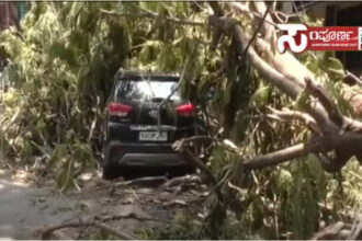 rain 2 rain 2 rain 2