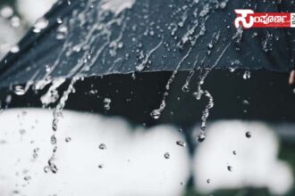 rain 2 copy rain 2 copy rain 2 copy