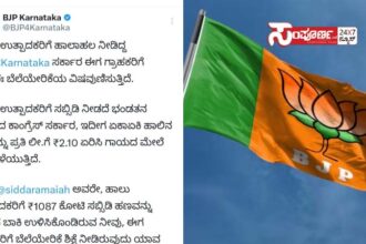 bjp flag bjp flag bjp flag