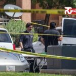 las vegas las vegas las vegas