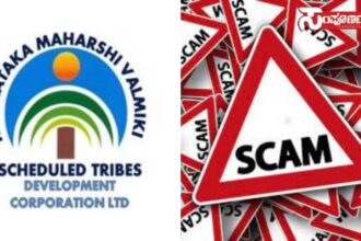 vamilki development vamilki development vamilki development