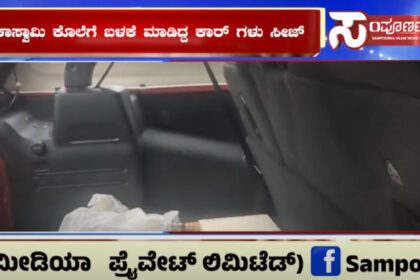 veidio veidio veidio