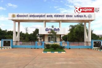 1 kochimul 1 kochimul 1 kochimul