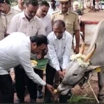 Krushi Sante
