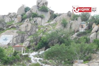 baby betta baby betta baby betta