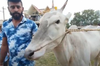 thumbnail 1 3 thumbnail 1 3 thumbnail 1 3