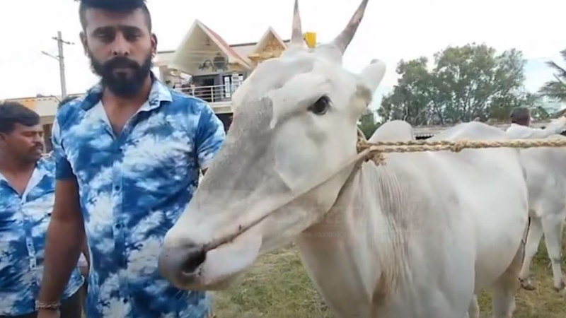 thumbnail 1 3 thumbnail 1 3 thumbnail 1 3