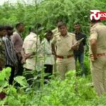 yadgir murder baby yadgir murder baby yadgir murder baby