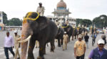 Dasara Elephants