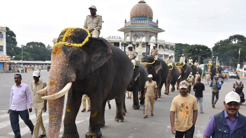 Dasara Elephants