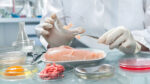 Food Testing Lab