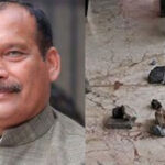 Miscreants throw stones at the house of MLC Ivan D’Souza in Mangaluru