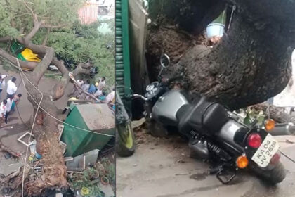 Big tree fell down in Bengaluru