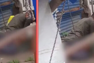 Rape 01 Rape 01 Rape 01