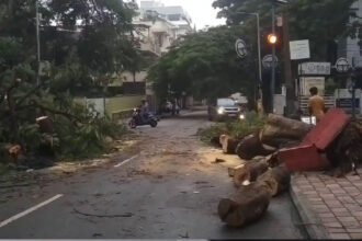 Bengaluru rain: Low-lying areas submerged, traffic hit after heavy downpour