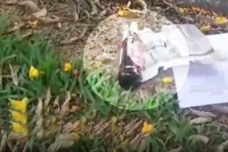 Beat Bottle Beat Bottle Beat Bottle