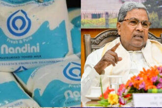 Nandini products