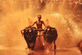 Kambala