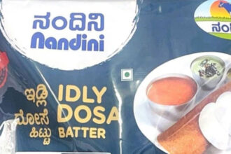 Nandini
