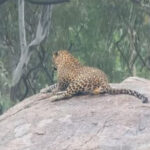 Banashankari Banashankari Banashankari