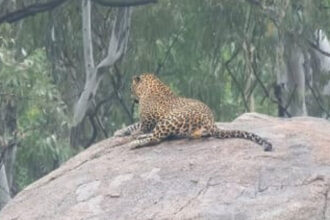 Banashankari Banashankari Banashankari