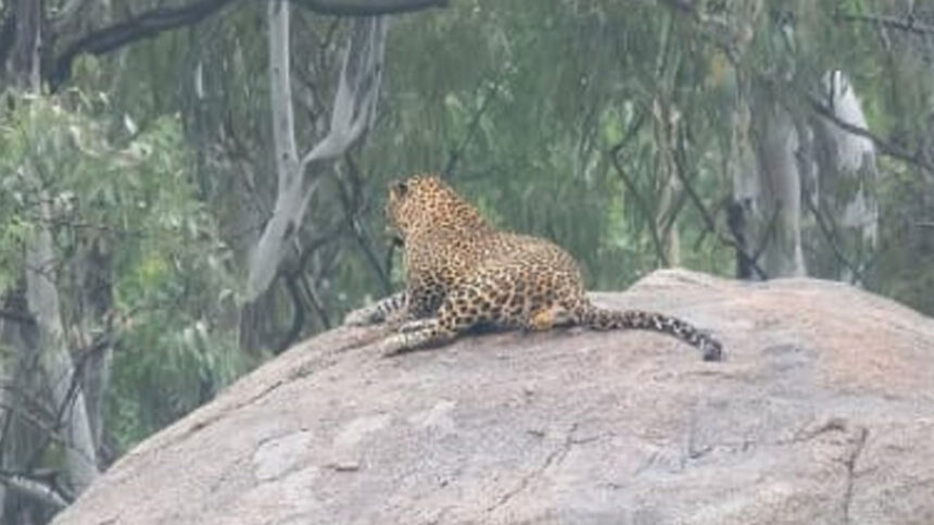 Banashankari Banashankari Banashankari