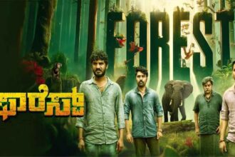 Forest Forest Forest