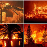 Los Angeles fires