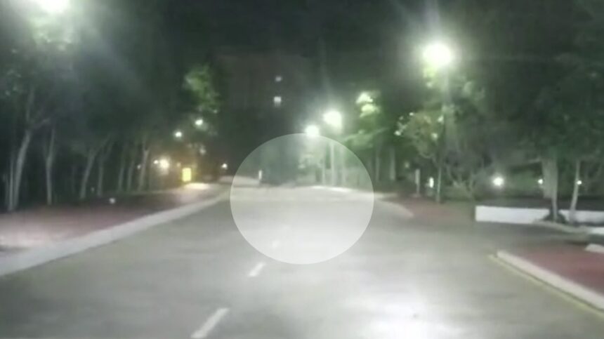 ಮೈಸೂರಿನ ಇನ್ಫೋಸಿಸ್ ಕ್ಯಾಂಪಸ್ ನಲ್ಲಿ ಚಿರತೆ ಪ್ರತ್ಯಕ್ಷ 1 Mysuru Mysuru Mysuru