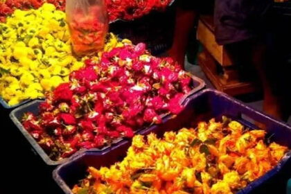 Mysore in a rush for Sankranti