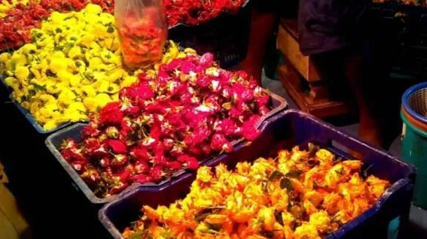 Mysore in a rush for Sankranti